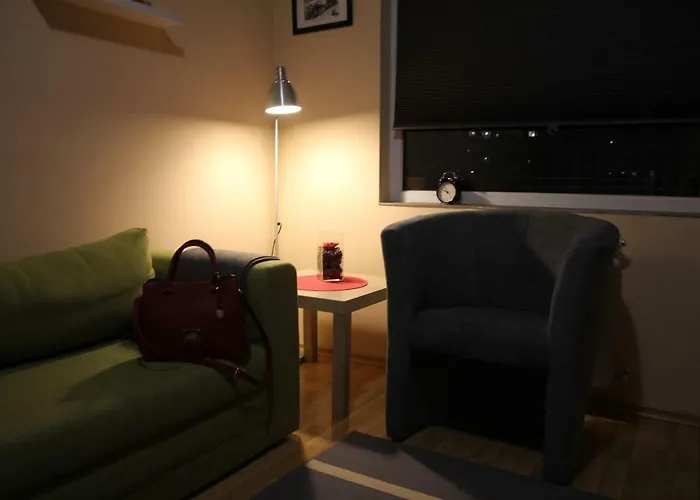 公寓 132 索菲亞